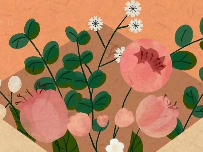 Et brev til Jufengs familie