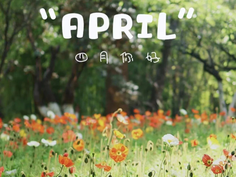 Fødselsdagshilsen丨Tillykke med fødselsdagen til dem, der er født i april